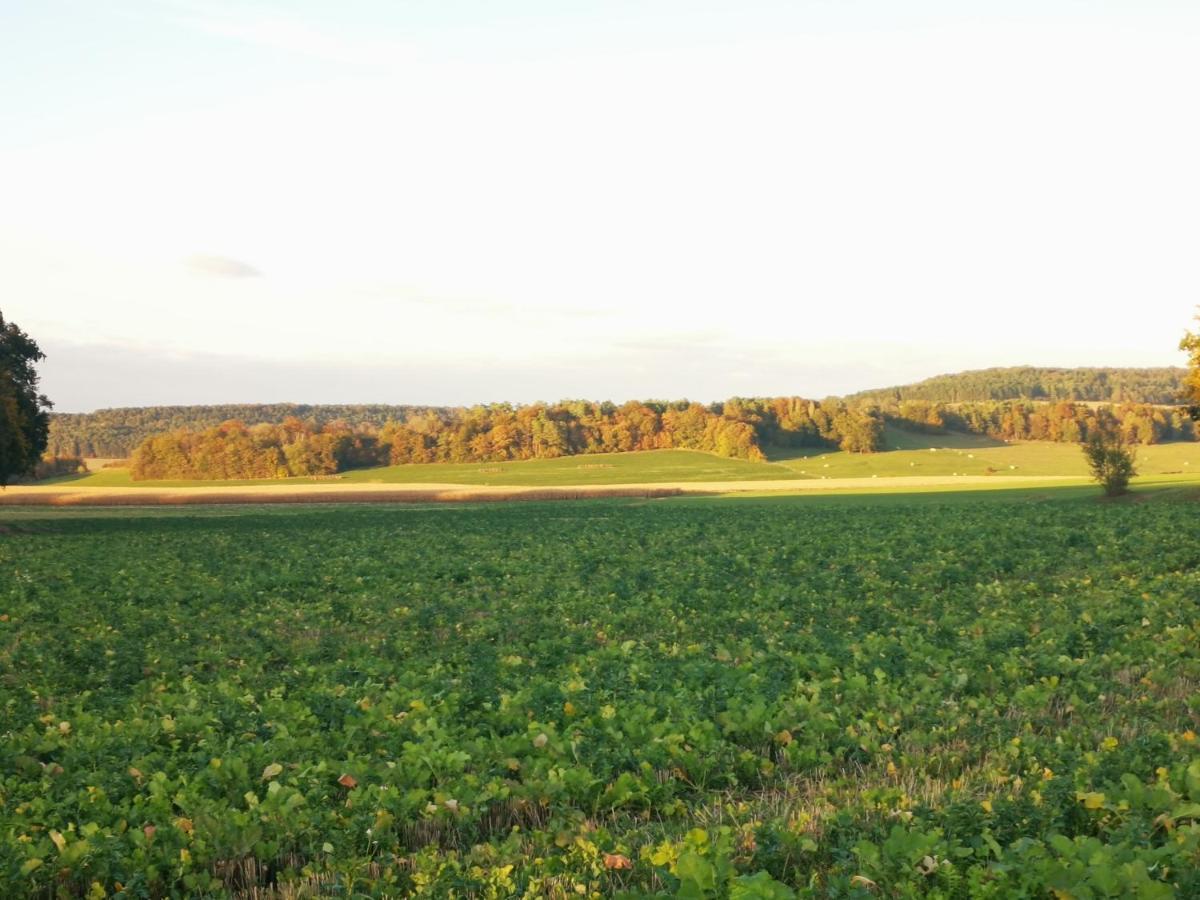 La Mirabelle Des 3 Forets Bricon Eksteriør bilde